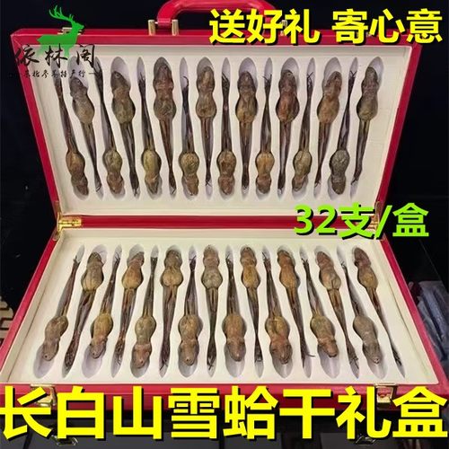 32支长白山雪蛤干雪哈林蛙干