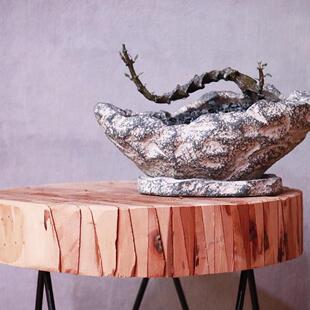 bosseri Ceropegia 萝藦科吊灯花属盆栽块根 武蜡泉黑龙 绿阳新意