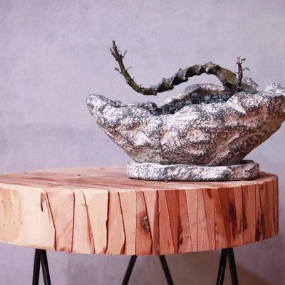 武蜡泉窗台一般美观萝藦科