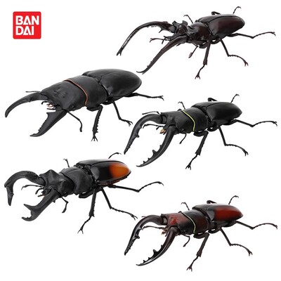 万代生物大图鉴甲壳虫鹿角虫扁锹
