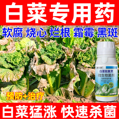 白菜病害专用药白菜病菌清黄叶黑叶烂根猝倒根肿病软腐微生物菌剂