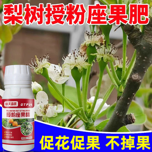 梨树专用授粉坐果肥授粉座果精促花促果黄瓜茄子蔬菜黄瓜通用正品