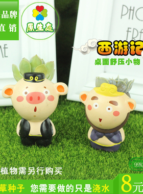 西游记桌面微景观原生态净化空气