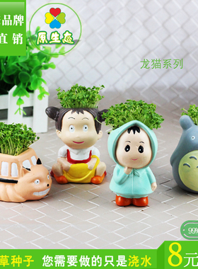 diy舒压植物微景观系列多肉花盆