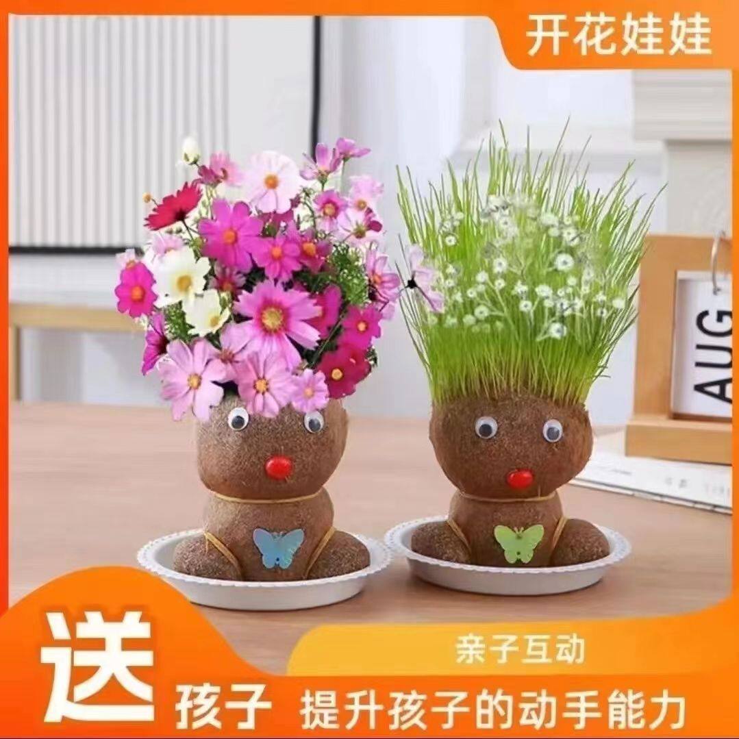 开花娃娃长草娃娃清新自然