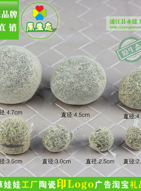 草籽草头娃娃种植草球营养土草包魔豆二次更换多品种子办公室绿植