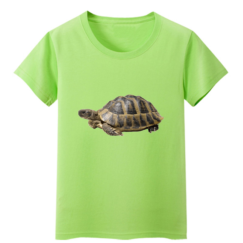 宝宝乌龟图案印花童装衣服绿色 幼儿园儿童演出服中小班六一表演