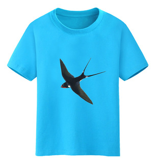 鸟男童装蓝色小燕子短袖春天女孩红色T恤宝宝黄色上衣黑 白色纯棉