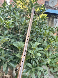 箫紫竹八孔洞箫D调音准好吹古风乐器民族管乐
