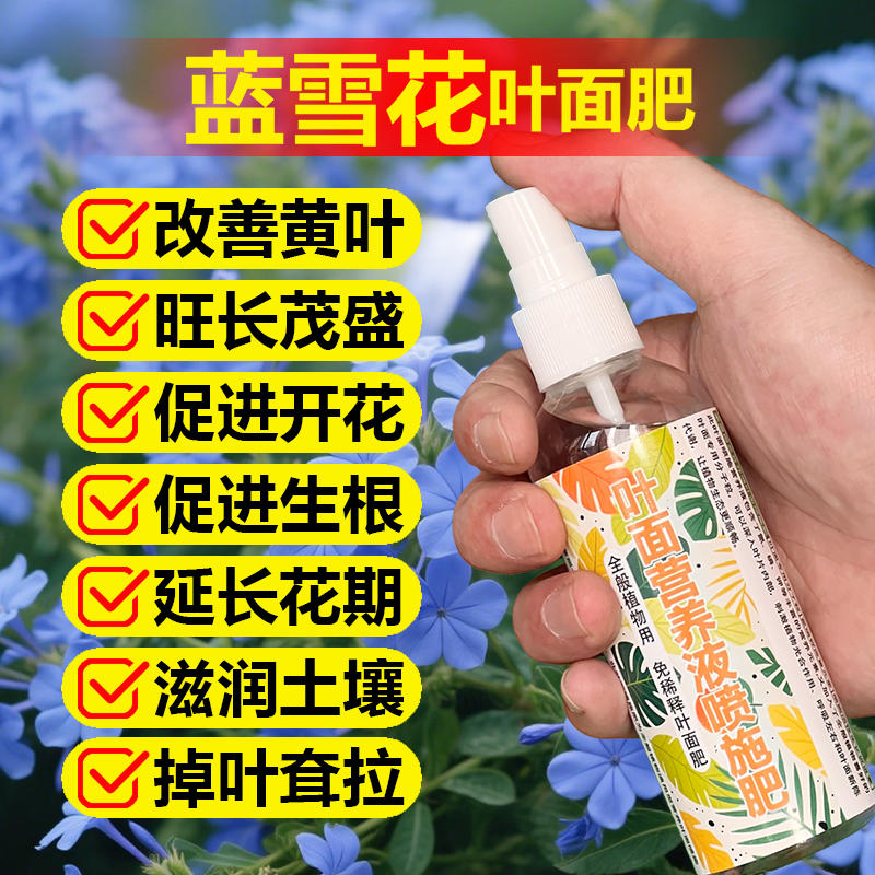 蓝雪花专用肥料盆栽爬藤植物老桩花肥营养液叶面肥土培水溶化肥料