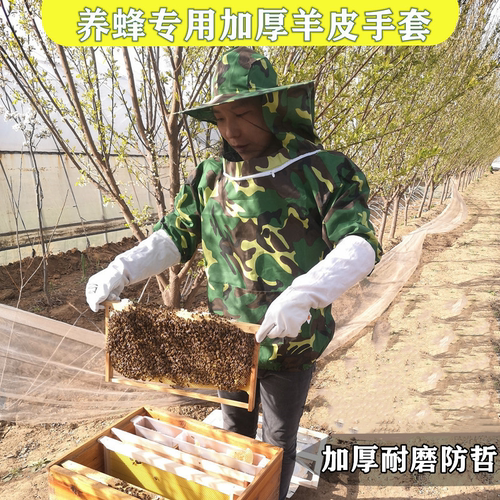 养蜂取蜂蜜羊皮手套加厚透气防蜂蛰帆布手套专用养蜂工具