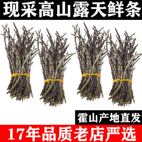 野外新鲜石斛大别山霍山峡谷采摘