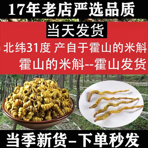 当季新货正宗霍山米斛枫斗