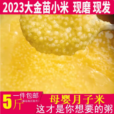 2023年东北新小黄米农家黄小米婴儿食用米油浓厚小黄米小米粥5斤