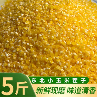 东北玉米糁 农家玉米小茬子粗粮小碴子苞米小查子玉米渣玉米碎5斤