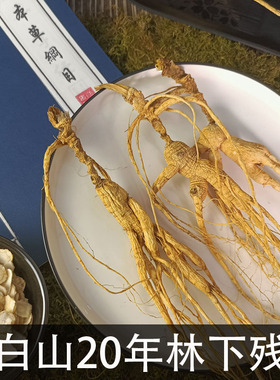 野山参人参残参林下参25年老池底子野生长白山泡酒干参老山参野生