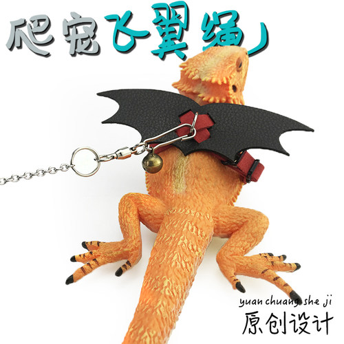 蜥蜴牵引绳鬃狮爬宠绿蜥红蜥