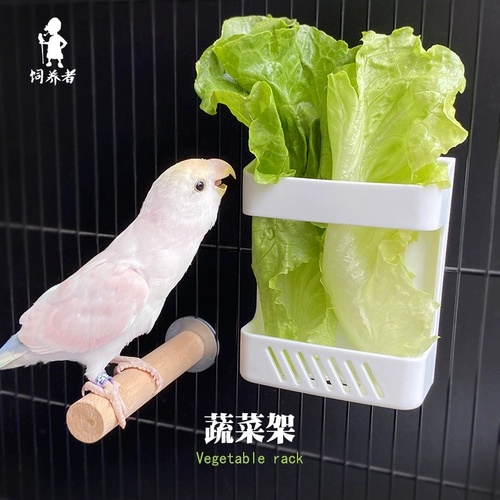 БЕСПЛАТНАЯ ДОСТАВНАЯ ПАРРЫ Птицы.