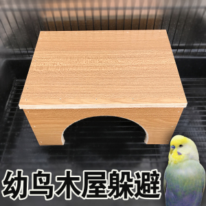 幼鸟躲避屋 木屋躲避 鹦鹉