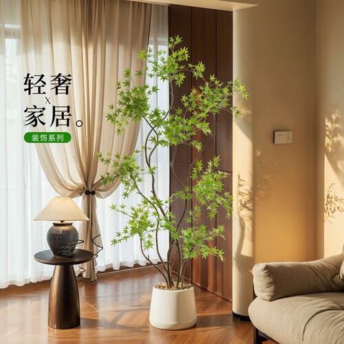 【抖音同款】高级感拉满还免养护