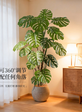 小红书家装博主同款氛围感摆件