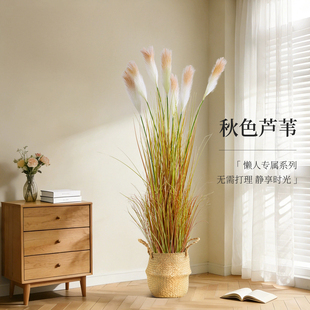 假芦苇草落地盆栽仿真绿植狗尾巴草装饰盆景室内客厅植物造景摆件