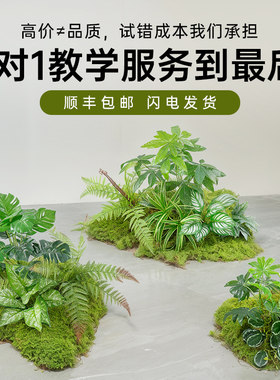 仿真造景绿色蕨类植物