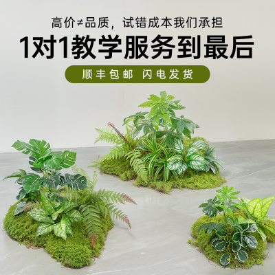 仿真造景绿色蕨类植物