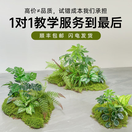 仿真造景绿色蕨类植物高档装饰室内庭院景观氛围感摆件小型假绿植