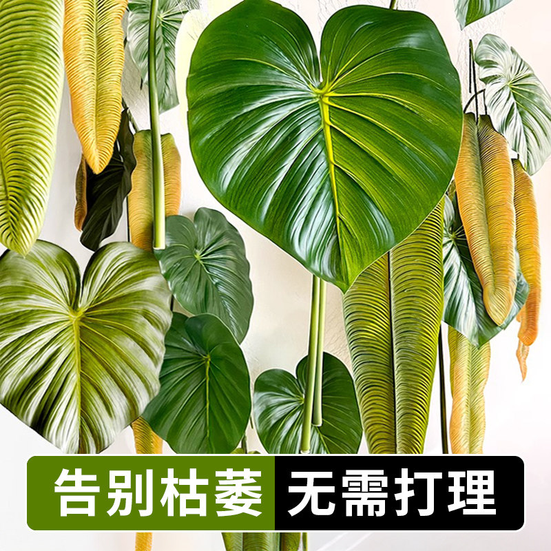仿真蔓绿绒火鹤王室内装饰水晶花烛网红彩色叶悬挂绿植物墙面造景