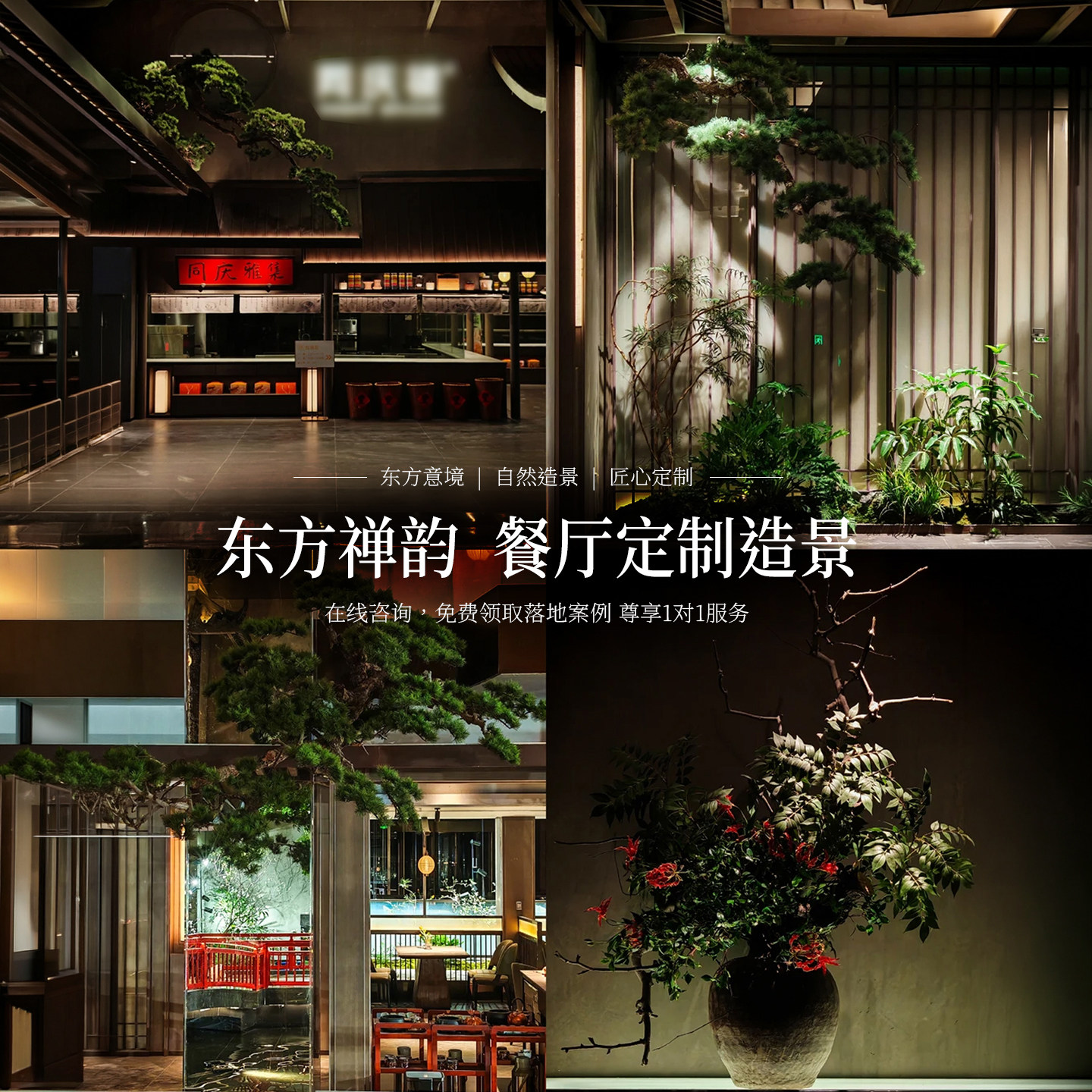 【央妈推荐】绿植造景室内景观