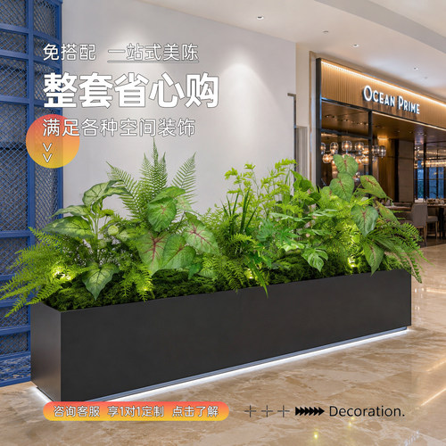【家居博主推荐】仿真蕨类花箱