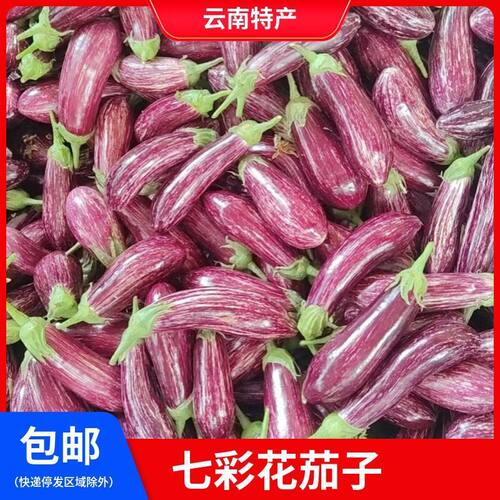 云南七彩茄子新鲜现摘现发