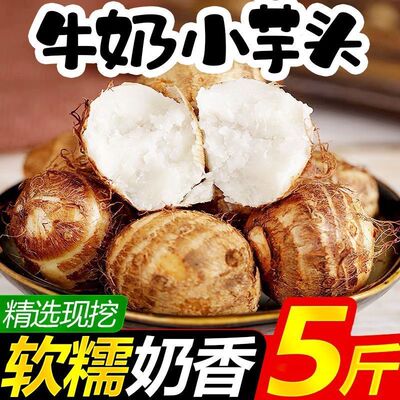 云南牛奶小芋头新鲜小芋艿毛芋头香芋农家自种新鲜蔬菜现挖发