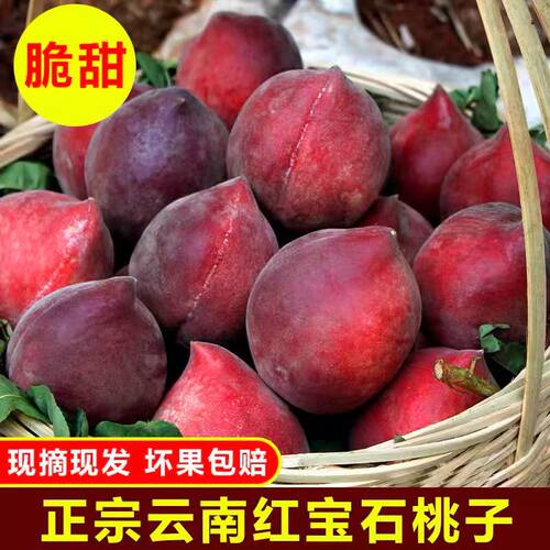 毛桃云南红宝石新鲜采摘