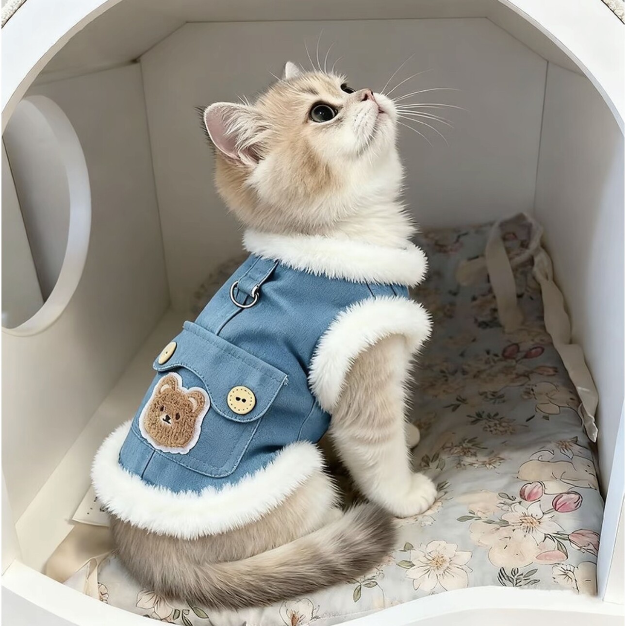 猫咪衣服秋冬款小熊加绒马甲金渐层布偶英短狗狗衣服加厚保暖棉衣