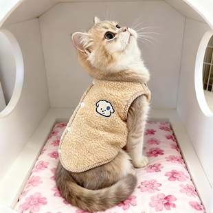猫咪衣服秋冬保暖小狗马甲狗狗背心防掉毛布偶美短蓝猫可牵引服饰