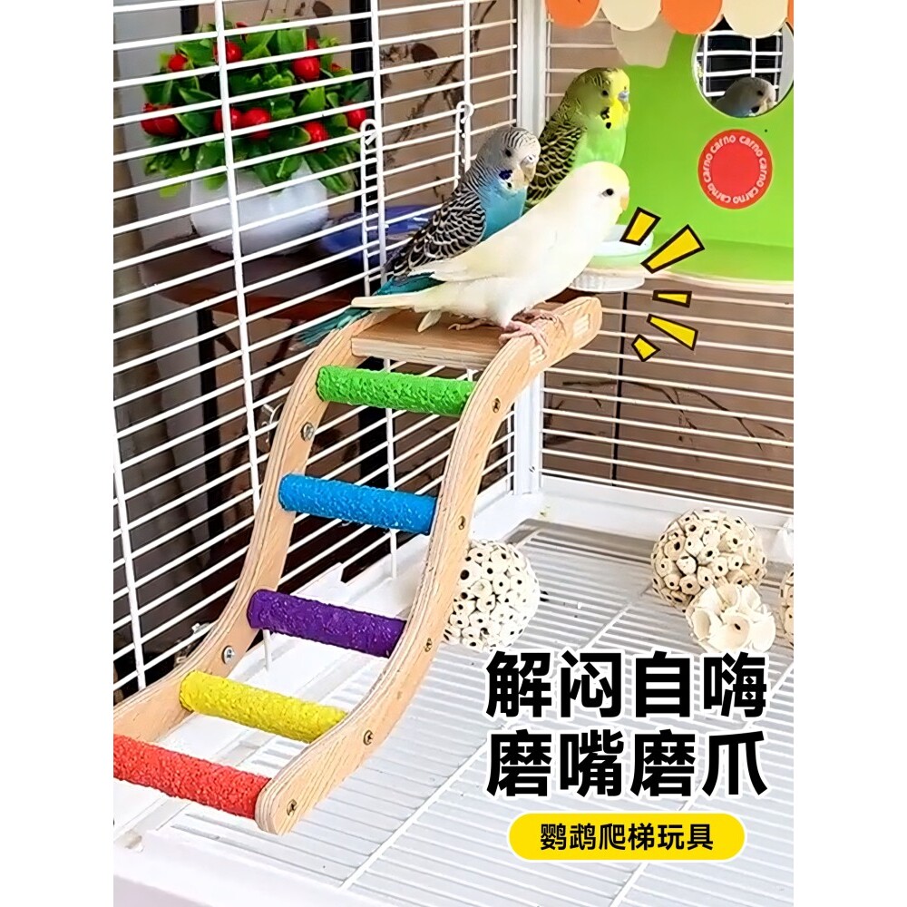 鹦鹉云梯鸟笼攀爬玩具小鸟虎皮磨爪棒爬架玄凤逗鸟笼配件专用楼梯