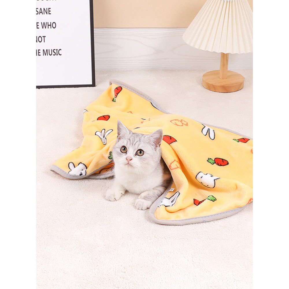 猫咪专用小毯子狗狗睡觉用盖毯毛毯秋冬保暖睡垫狗猫毯子宠物用品