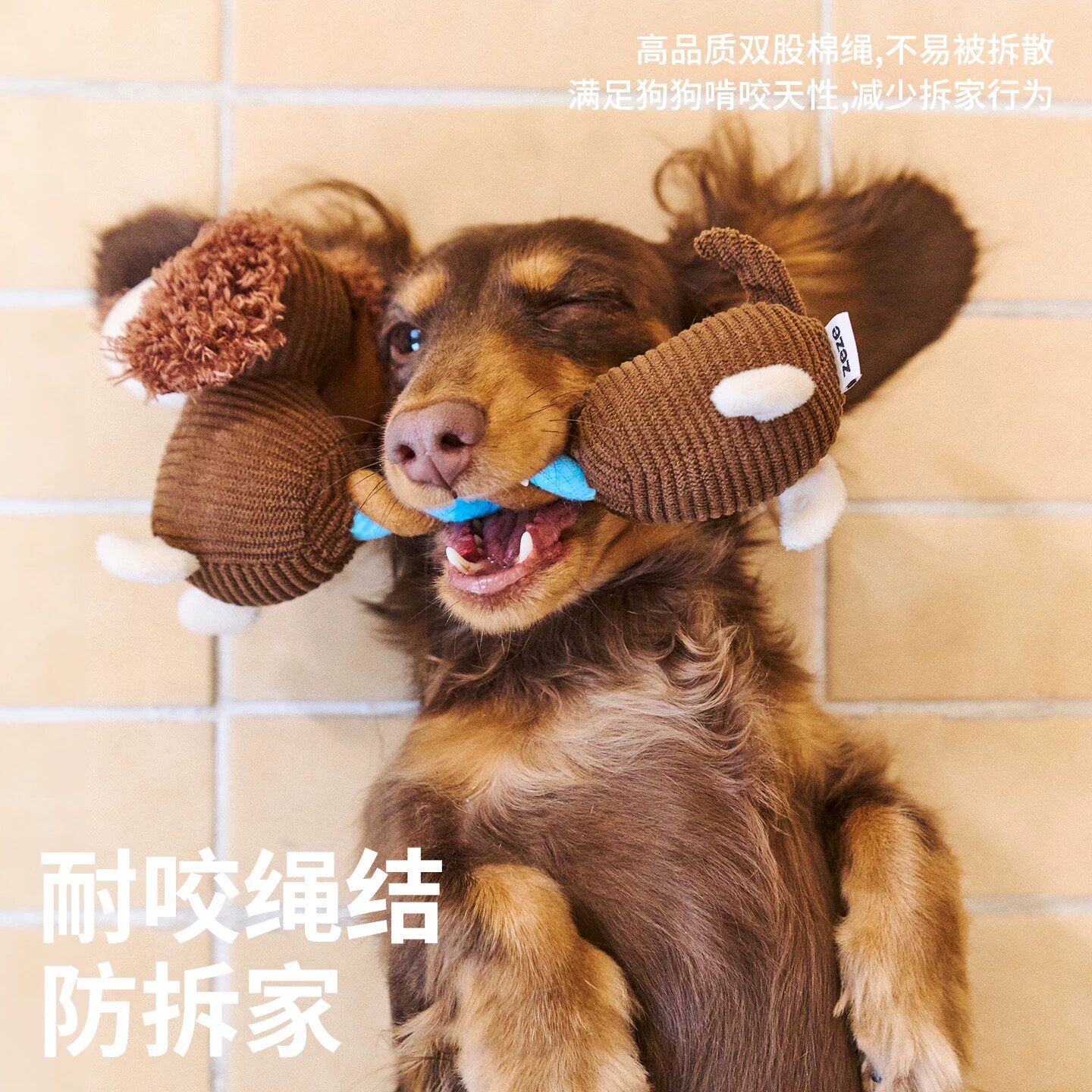 zeze狗狗拔河绳结玩具磨牙洁齿耐咬自嗨解闷发声玩具泰迪中小型犬