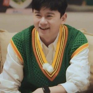 明星同款V领绿色复古无袖针织马甲背心休闲宽松潮流时尚男女同款