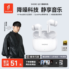 1MORE万魔Q21蓝牙耳机主动降噪无线入耳式高音质适用苹果华为小米