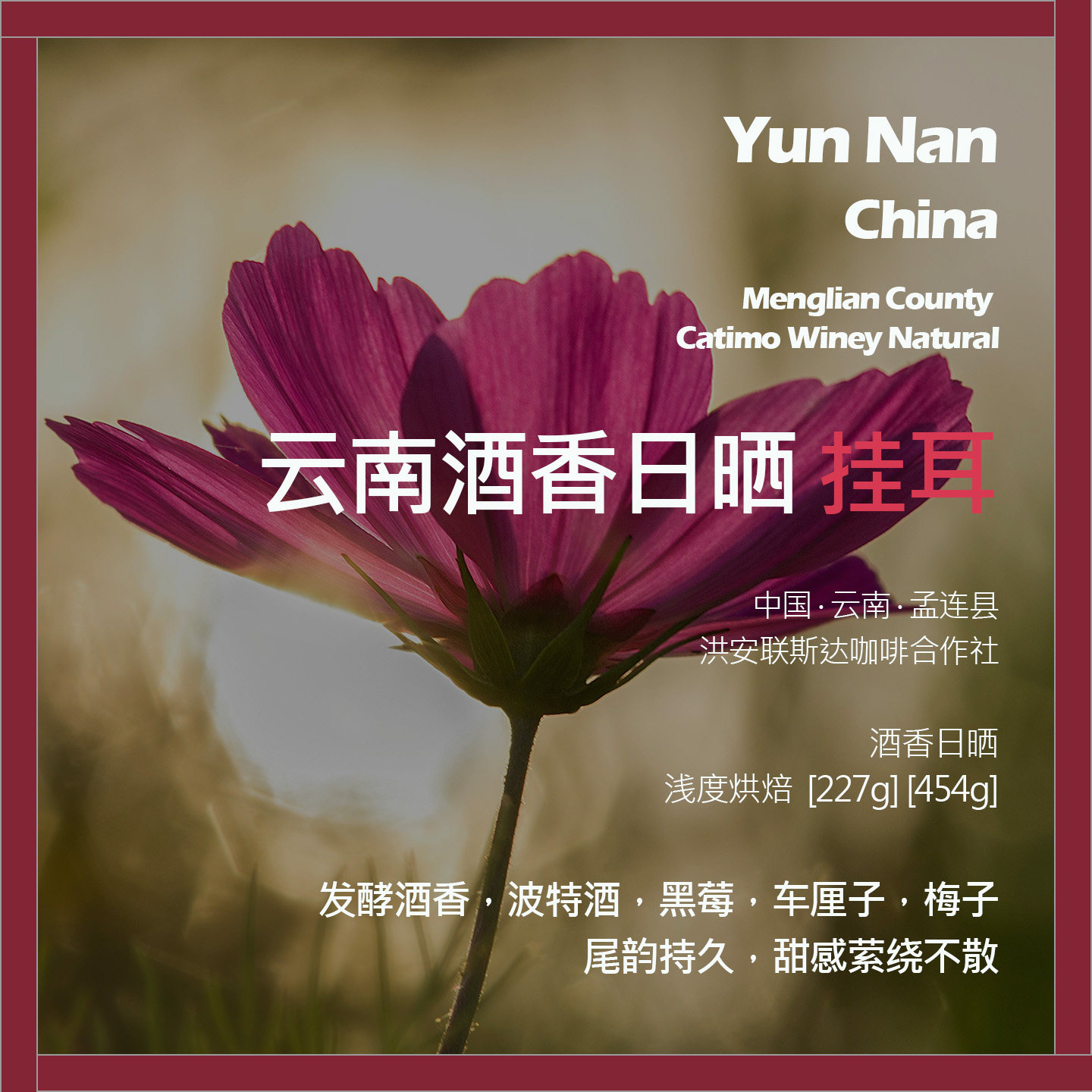 挂耳云南孟连洪安联斯达卡蒂姆酒香日晒单品咖啡豆新鲜浅烘车厘子