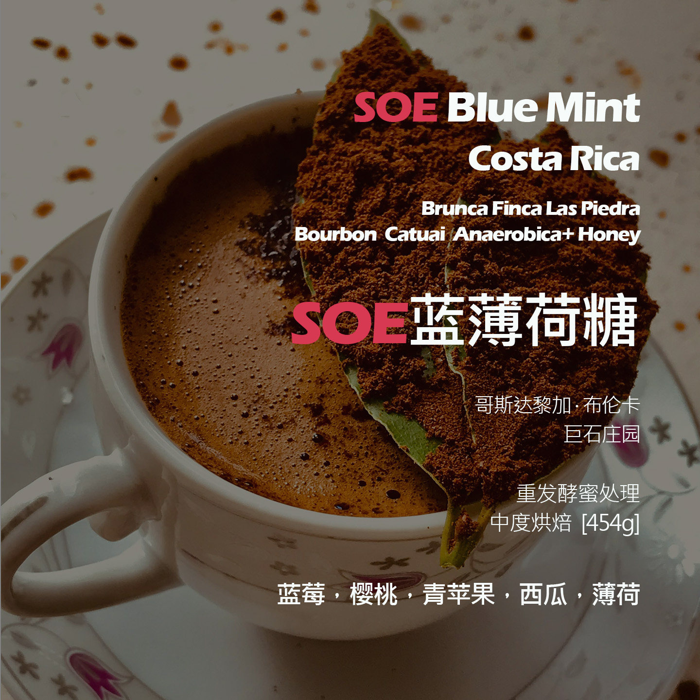 SOE哥斯达黎加巨石庄园蓝薄荷糖重发酵蜜处理意式单品咖啡豆新鲜