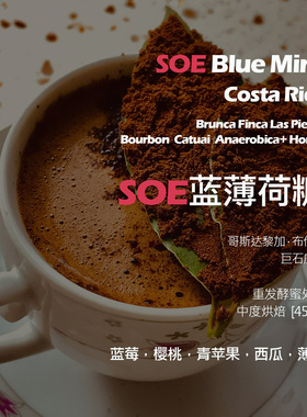 SOE哥斯达黎加巨石庄园蓝薄荷糖重发酵蜜处理意式单品咖啡豆新鲜