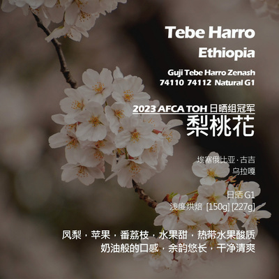 埃塞俄比亚74110 74112梨桃花2023 AFCA TOH日晒组冠军手冲咖啡豆