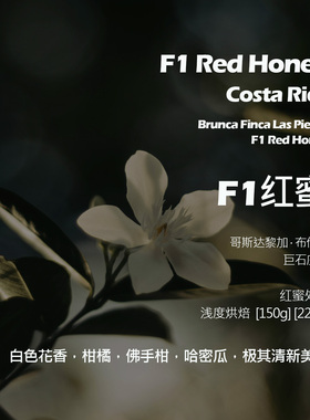 哥斯达黎加巨石庄园F1红蜜处理手冲单品咖啡豆新鲜浅烘白色花香
