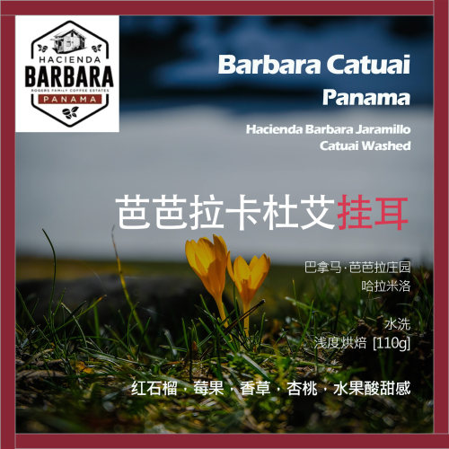 挂耳巴拿马芭芭拉庄园卡杜艾水洗单品咖啡豆浅烘杏桃水果酸甜感