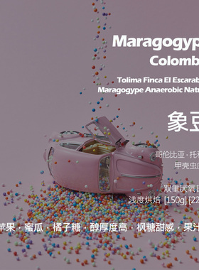 哥伦比亚甲壳虫庄园象豆双重厌氧日晒手冲单品咖啡豆新鲜浅烘蜜瓜
