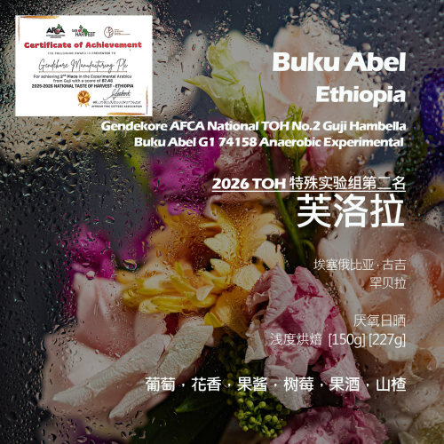 埃塞俄比亚2026TOH特殊组第二名芙洛拉厌氧日晒手冲单品咖啡豆